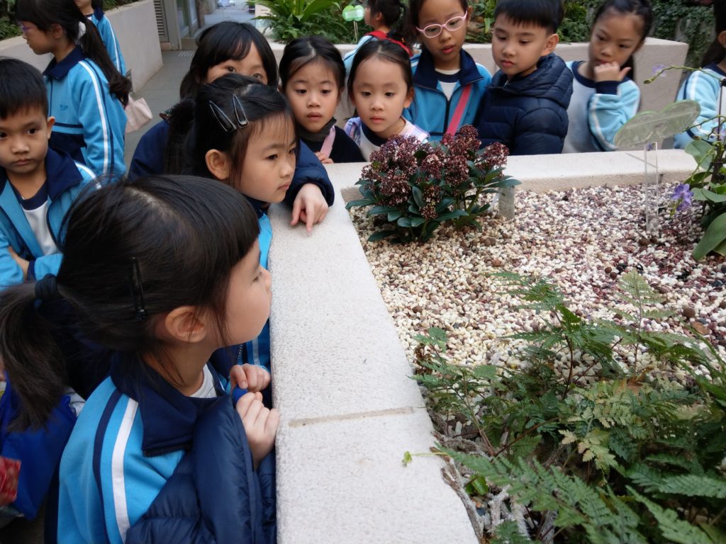 一年級常識科教育性參觀 – 香港動植物公園